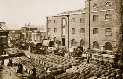 Barrels of molasses in the West India Docks by English Photographer
